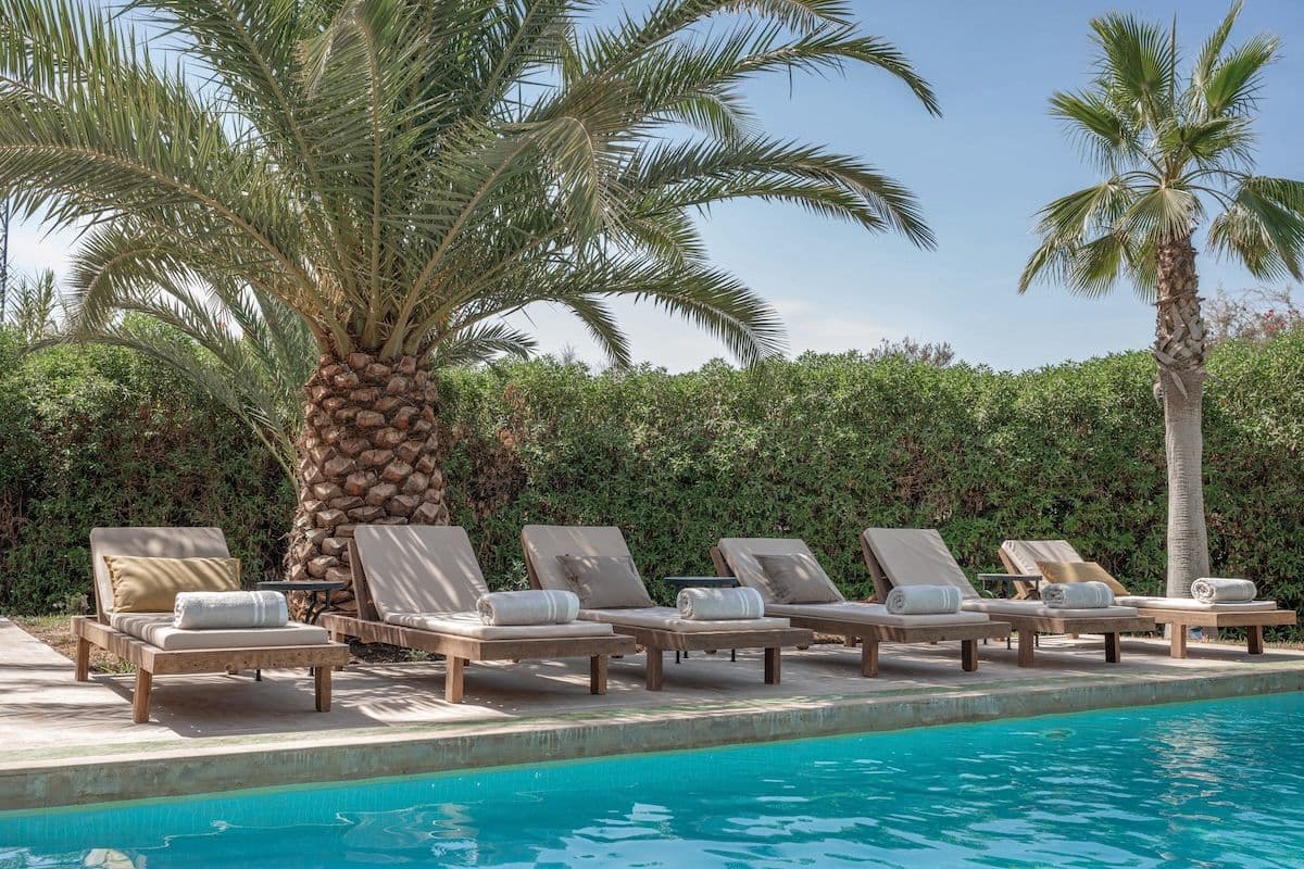 Rangée de transats au bord de la piscine Villa Aima sous les palmiers Marrakech